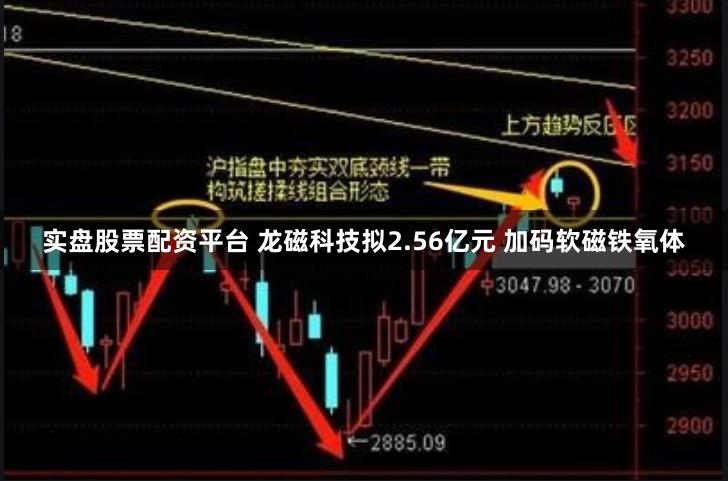 实盘股票配资平台 龙磁科技拟2.56亿元 加码软磁铁氧体