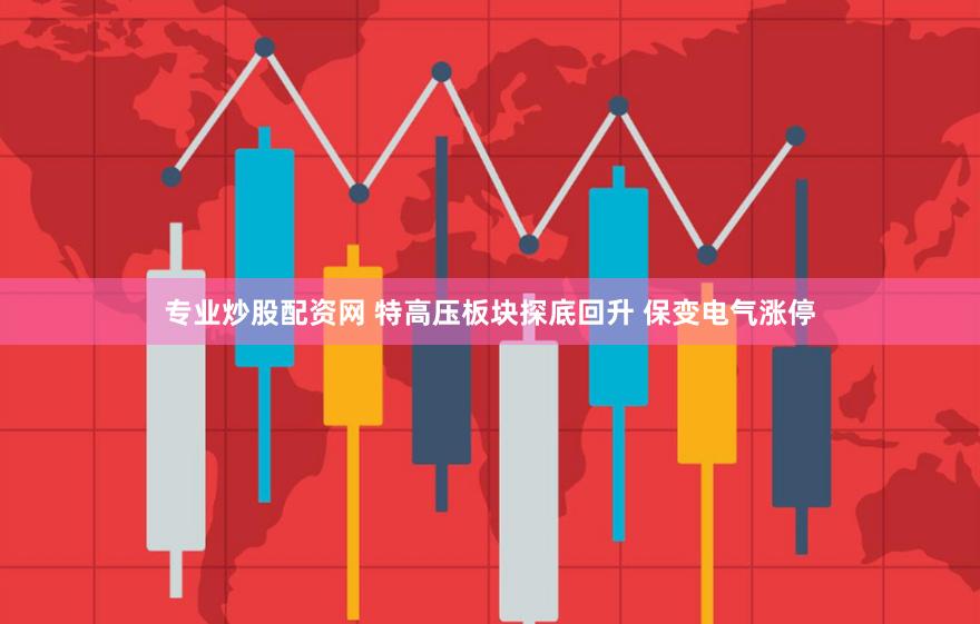 专业炒股配资网 特高压板块探底回升 保变电气涨停